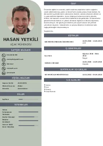Havacılık Ve Uzay Uçak Mühendisi Cv Örnekleri cv indir